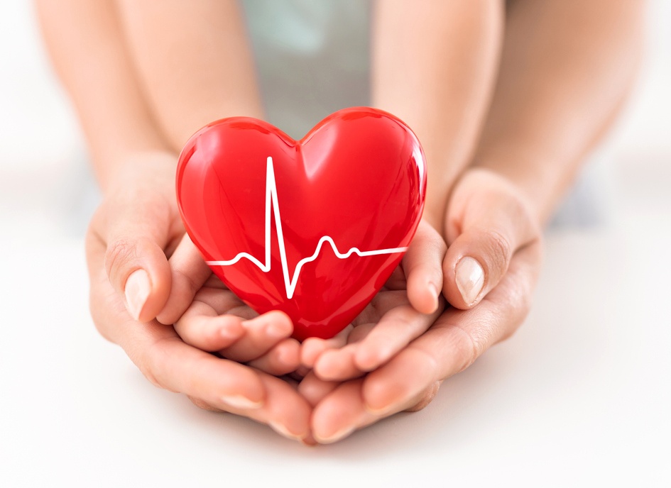 The adult and the child holding red heart.